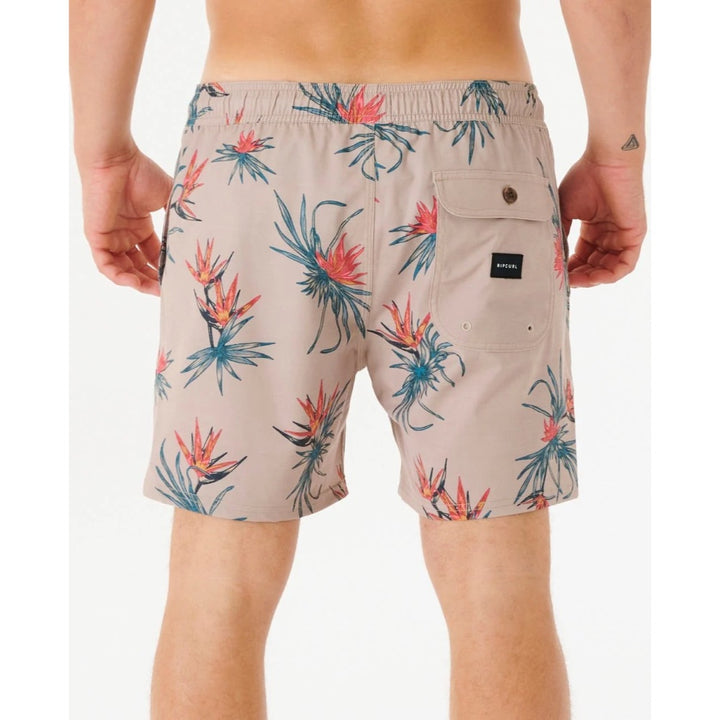 RIP CURL PARADISO VOLLEY TAUPE