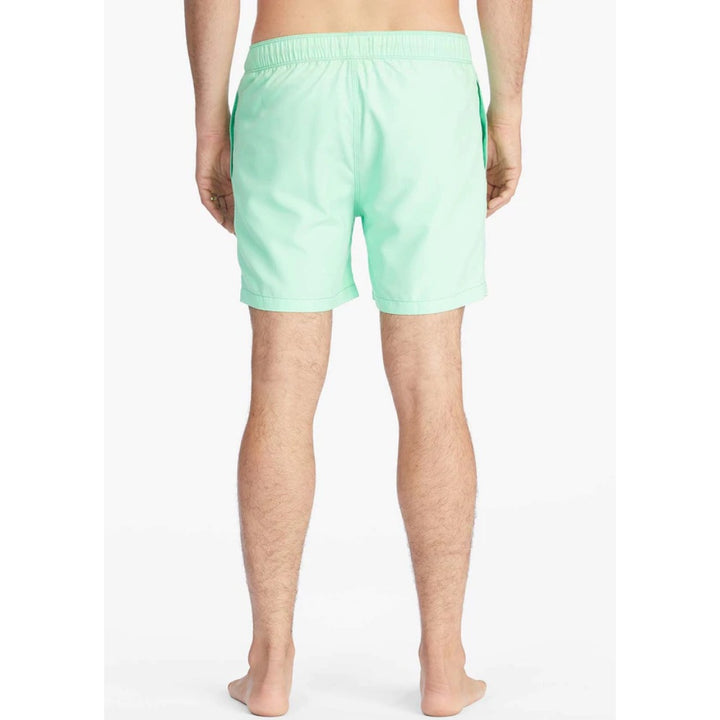 BILLABONG ALL DAY LAYBACK SPEARMINT