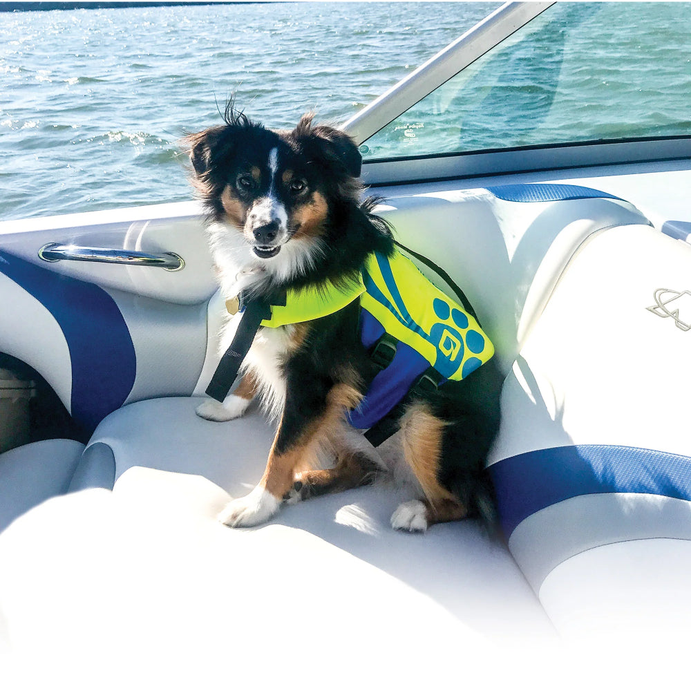O'BRIEN PET VEST